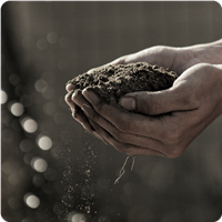 Fertilizers and Soil Amendments