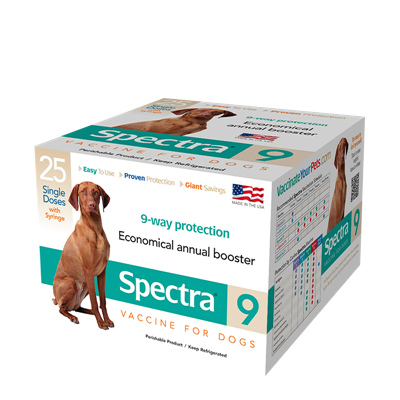 CANINE SPECTRA 9  25x1ds TRAY