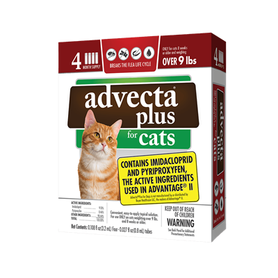 ADVECTA PLUS LARGE CAT OVER 9lbs 4pk