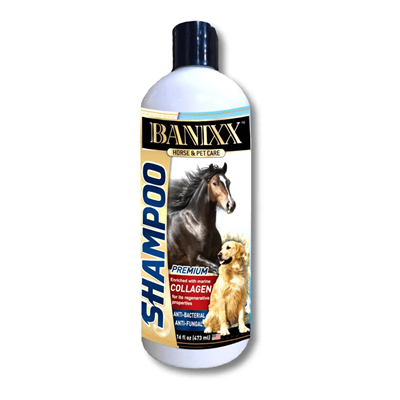 BANIXX MEDICATED SHAMPOO 16oz