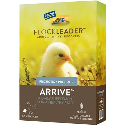 FLOCKLEADER ARRIVE 8oz