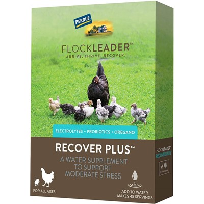 FLOCKLEADER RECOVER PLUS 8oz