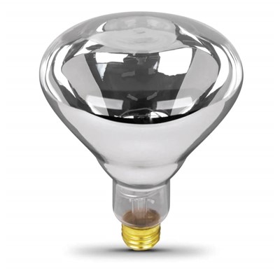 HEAT LAMP BULB 250wt CLEAR GLASS