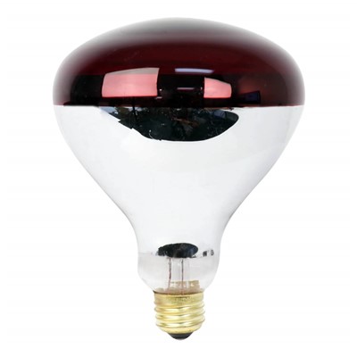 HEAT LAMP BULB 250wt RED GLASS