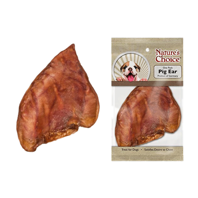 DOLLAR PIG EAR SMALL SINGLE PACK