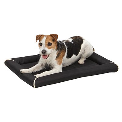 QUIET TIME MAXX PET BED BLACK 24in