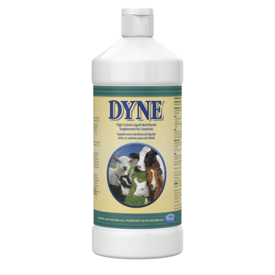 DYNE HIGH CALORIE FOR LIVESTOCK 32oz