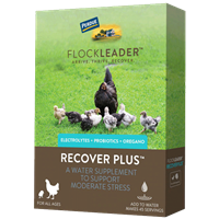 FLOCKLEADER RECOVER PLUS 8oz