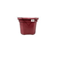 BUCKET FB SILVER LINE MAROON 8qt